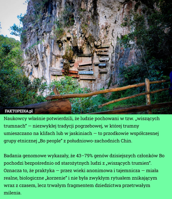 
    Naukowcy właśnie potwierdzili, że ludzie pochowani w tzw. „wiszących trumnach”