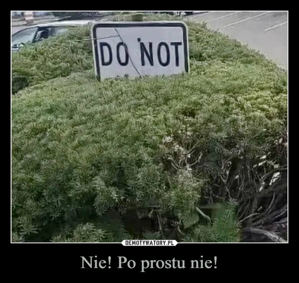 
    Nie! Po prostu nie!