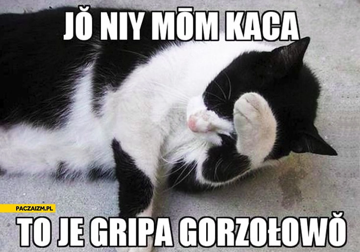 
    To nie kac to grypa gorzałkowa