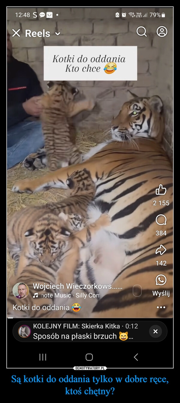 
    Są kotki do oddania tylko w dobre ręce, ktoś chętny?