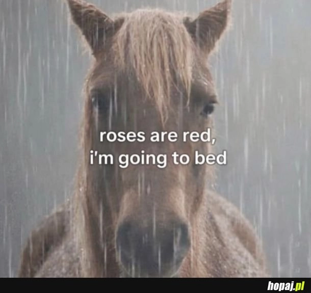 Tyle z moich walentynkowych wysiłków