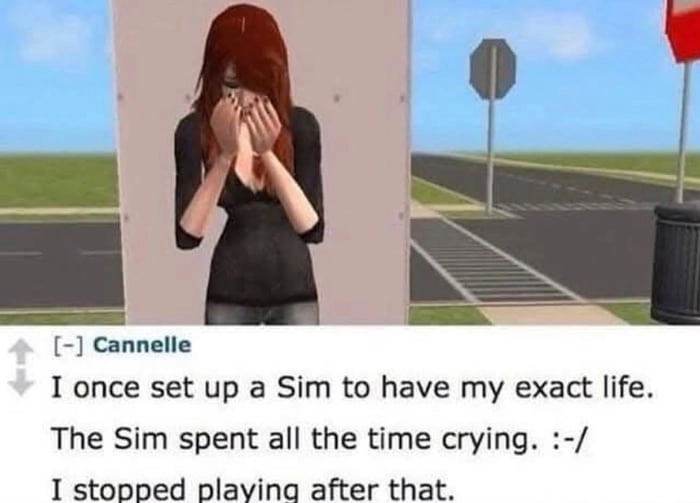 
    The Sims
