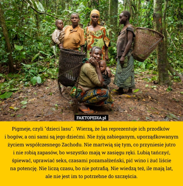 
    Pigmeje, czyli "dzieci lasu".  Wierzą, że las reprezentuje ich