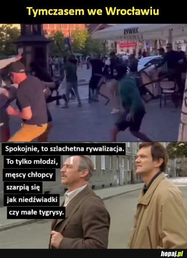 
    Tymczasem we Wrocławiu