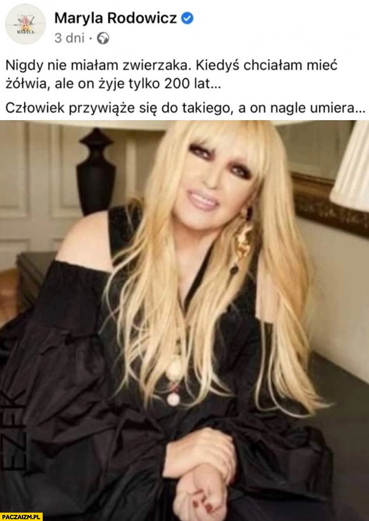 
    Maryla Rodowicz nigdy nie miałam zwierzaka, kiedyś chciałam mieć żółwia ale on żyje tylko 200 lat człowiek się przywiąże a on umiera