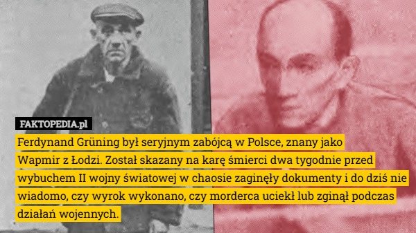 
    Ferdynand Grüning był seryjnym zabójcą w Polsce, znany jako
Wapmir z Łodzi.