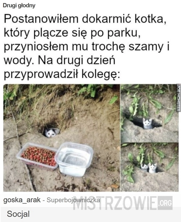 
    Drugi głodny