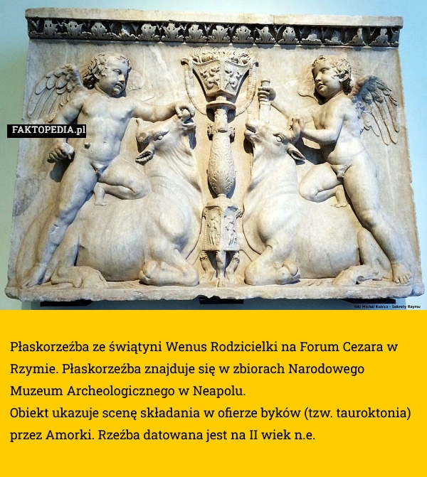 Płaskorzeźba ze świątyni Wenus Rodzicielki na Forum Cezara w Rzymie.