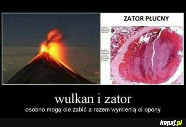 Razem mogą zdziałać dobro