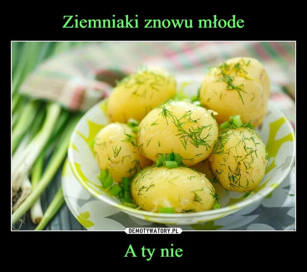 
    Ziemniaki znowu młode A ty nie