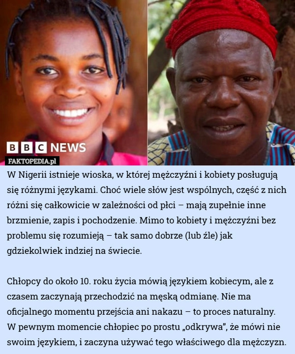 
    W Nigerii istnieje wioska, w której mężczyźni i kobiety posługują się różnymi...