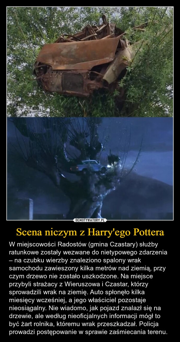 
    Scena niczym z Harry'ego Pottera