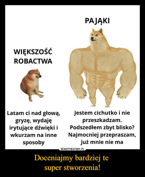 
    Doceniajmy bardziej te 
super stworzenia!