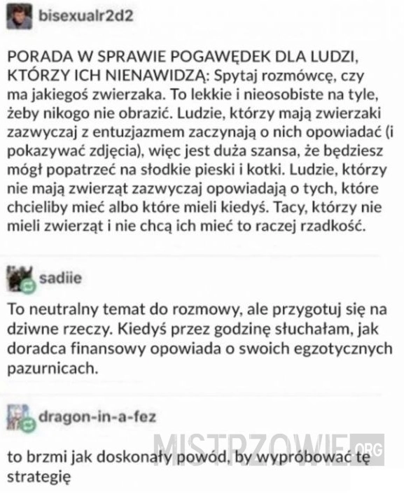 
    Pogawędka