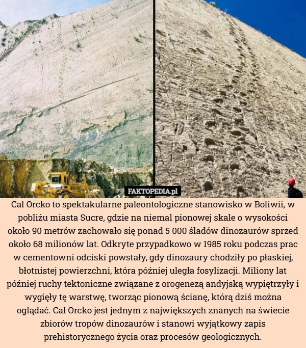 
    Cal Orcko to spektakularne paleontologiczne stanowisko w Boliwii, w pobliżu