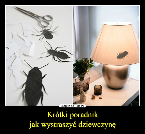 
    Krótki poradnik
jak wystraszyć dziewczynę
