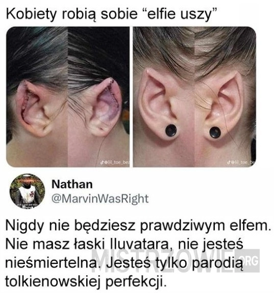 
    Elfie uszy