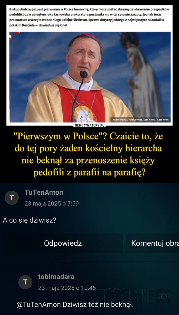 
    Zarzuty
