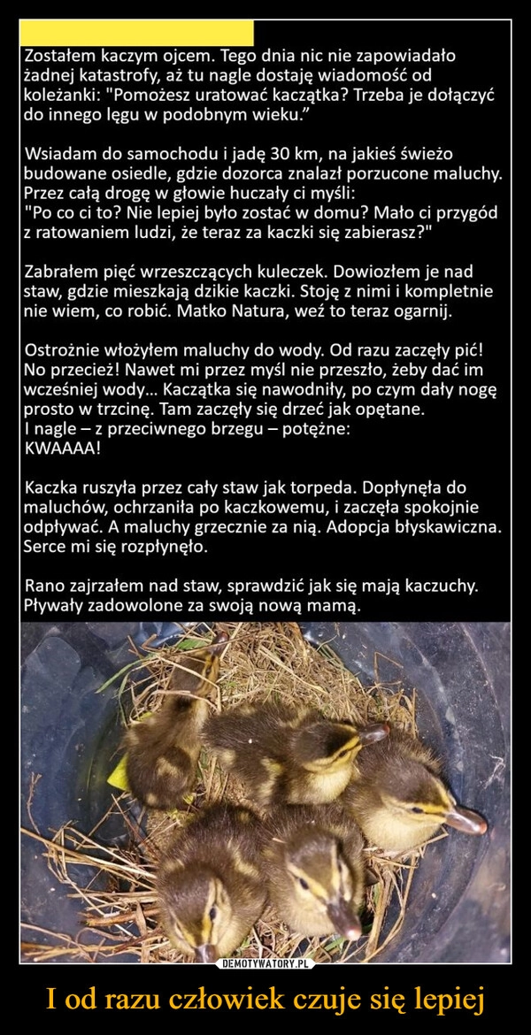 
    I od razu człowiek czuje się lepiej