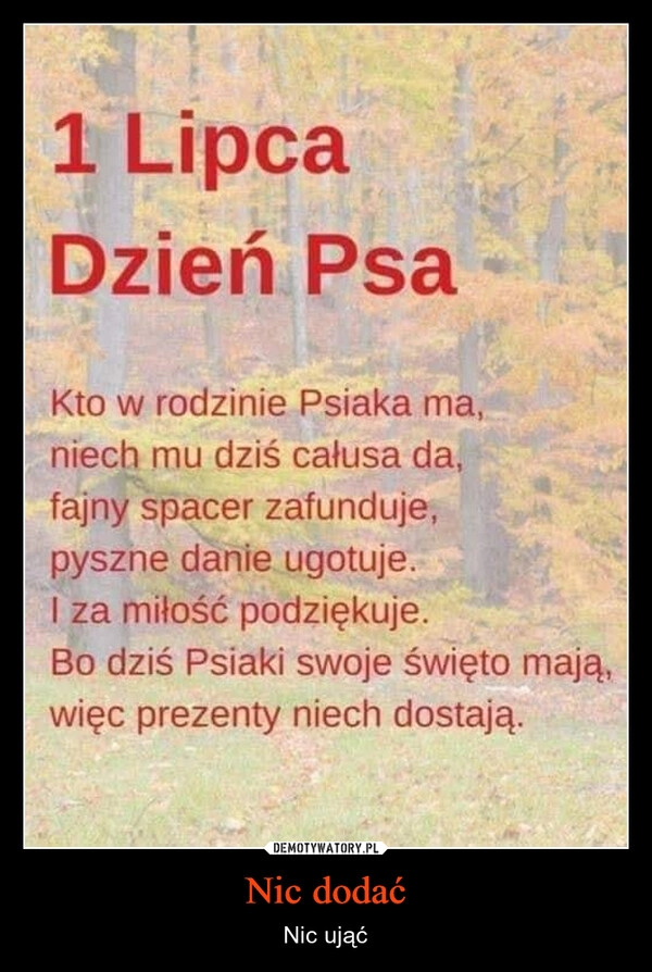 
    Nic dodać