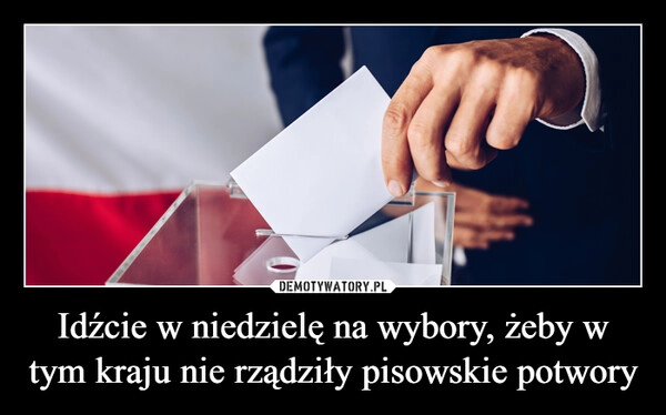 
    Idźcie w niedzielę na wybory, żeby w tym kraju nie rządziły pisowskie potwory