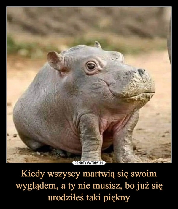 
    Kiedy wszyscy martwią się swoim wyglądem, a ty nie musisz, bo już się urodziłeś taki piękny