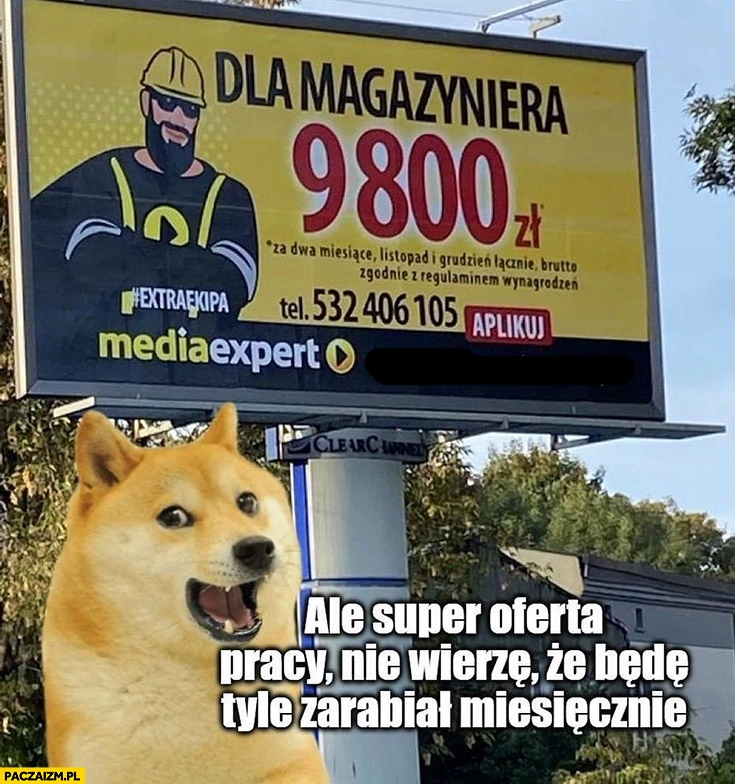 Praca dla magazyniera wynagrodzenie pensja podana za 2 miesiące pracy ale super oferta nie wierzę, że będę tyle zarabiał miesięcznie pies pieseł doge