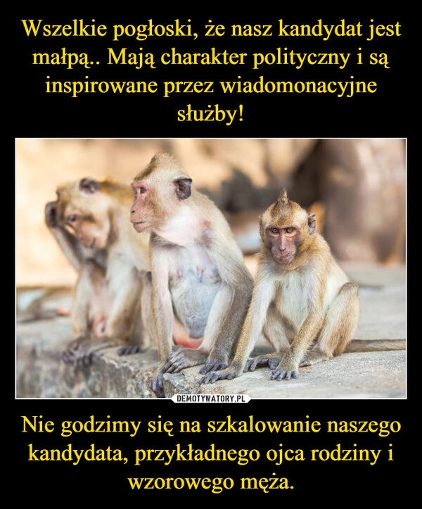
    Wszelkie pogłoski, że nasz kandydat jest małpą.. Mają charakter polityczny i są inspirowane przez wiadomonacyjne służby! Nie godzimy się na szkalowanie naszego kandydata, przykładnego ojca rodziny i wzorowego męża.