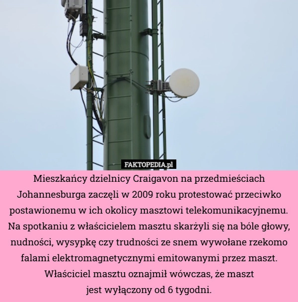 Mieszkańcy dzielnicy Craigavon na przedmieściach Johannesburga zaczęli w