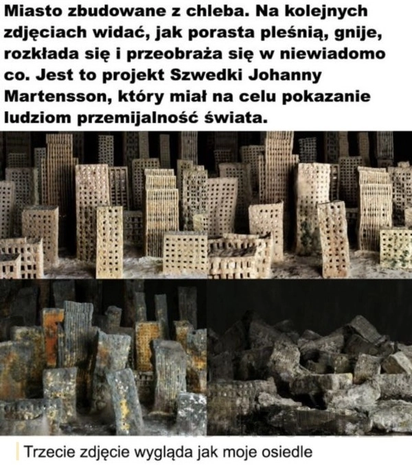 
    Miasto