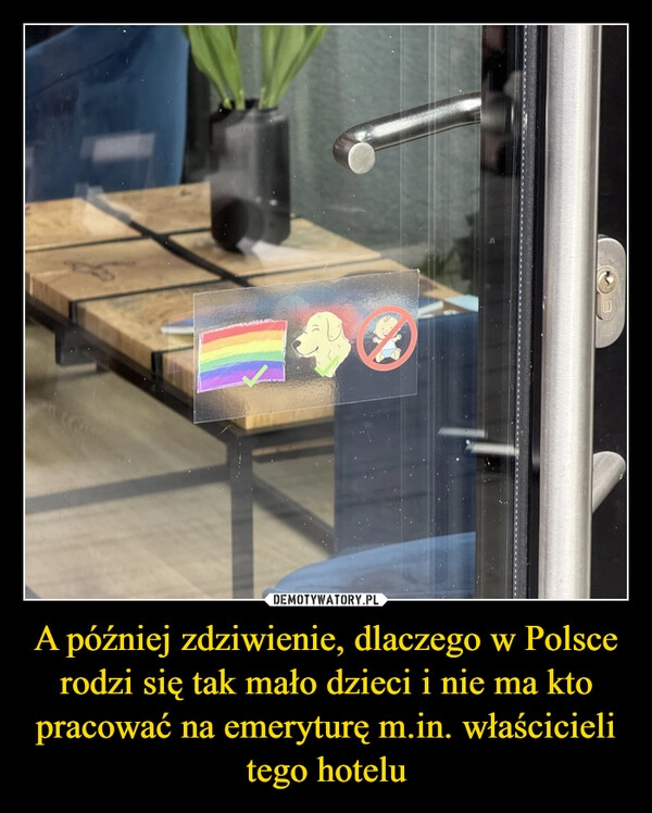 
    A później zdziwienie, dlaczego w Polsce rodzi się tak mało dzieci i nie ma kto pracować na emeryturę m.in. właścicieli tego hotelu