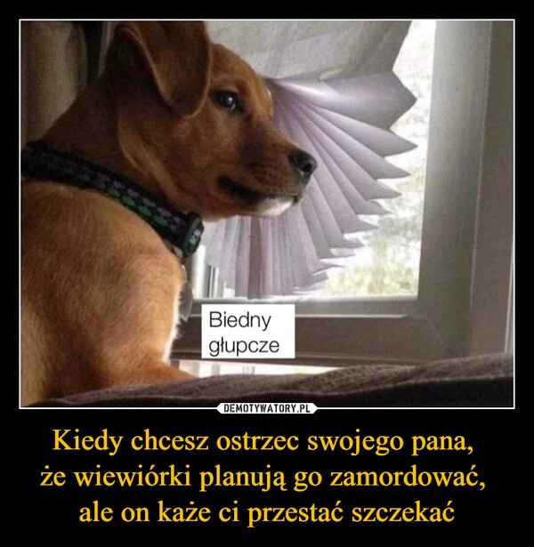 
    Kiedy chcesz ostrzec swojego pana, 
że wiewiórki planują go zamordować, 
ale on każe ci przestać szczekać