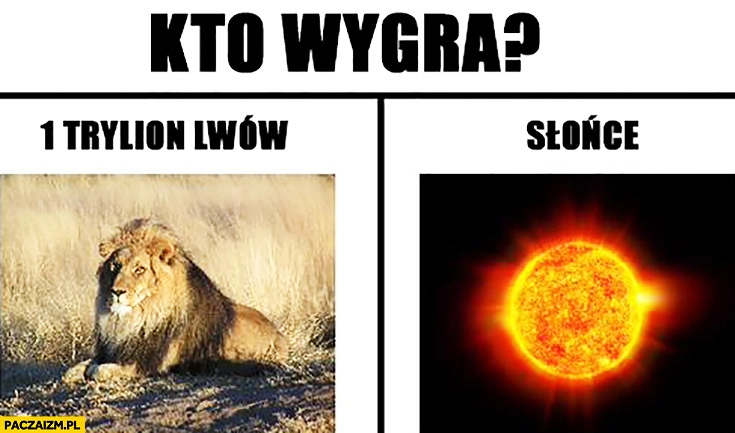 
    Kto wygra: 1 trylion lwów czy jedno słonce?