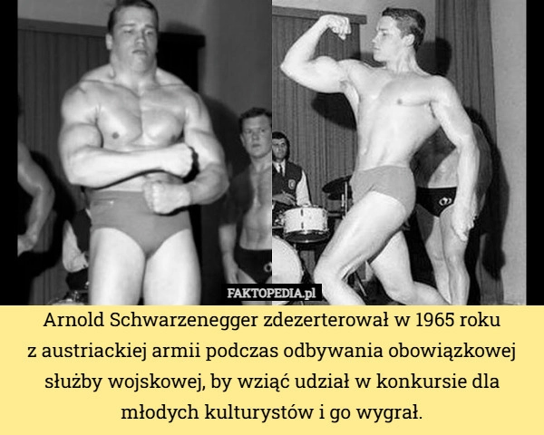 
    Arnold Schwarzenegger zdezerterował w 1965 roku
z austriackiej armii podczas