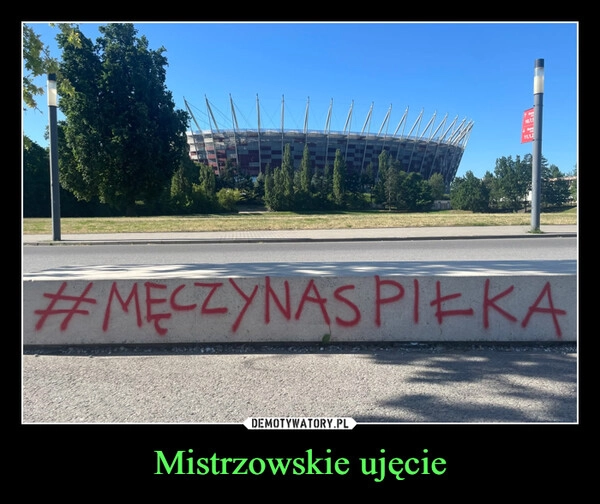 
    Mistrzowskie ujęcie