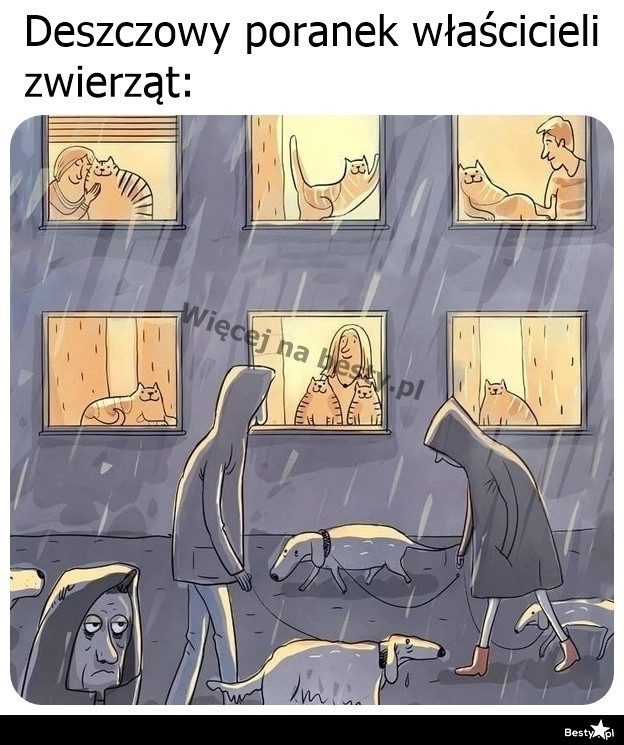 
    Deszczowy poranek 