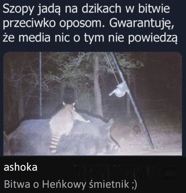 
    Szopy