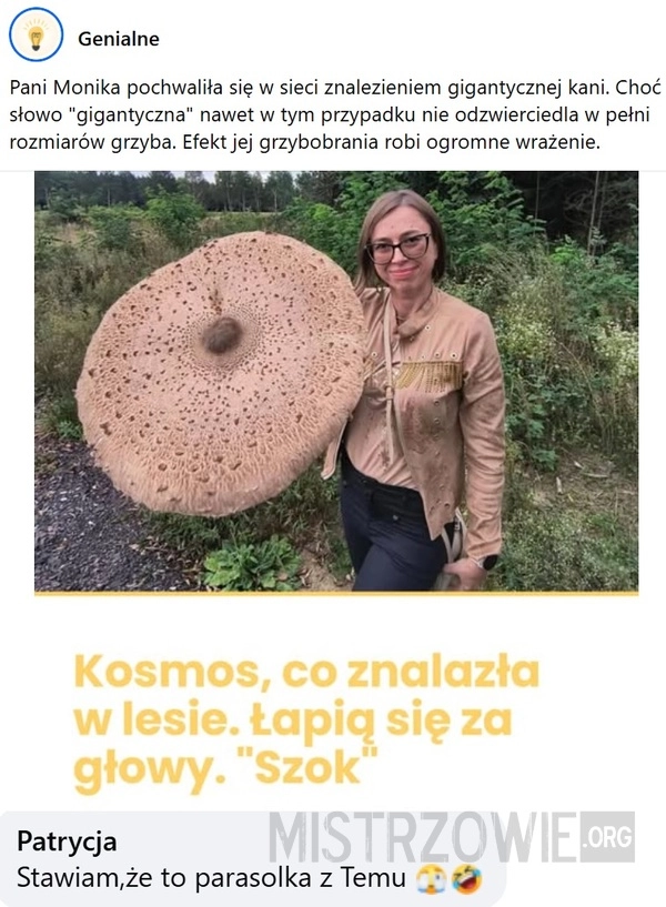 
    Kania