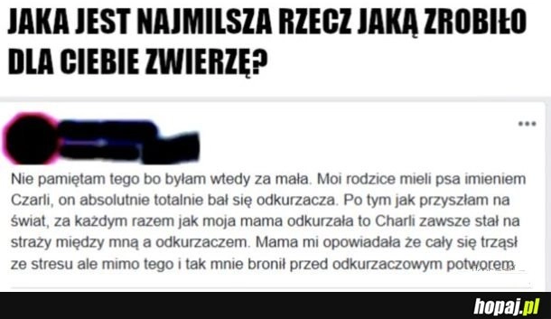 
    Pies obrońca