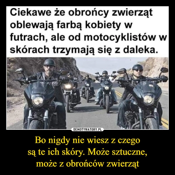 
    
Bo nigdy nie wiesz z czego
są te ich skóry. Może sztuczne,
może z obrońców zwierząt 