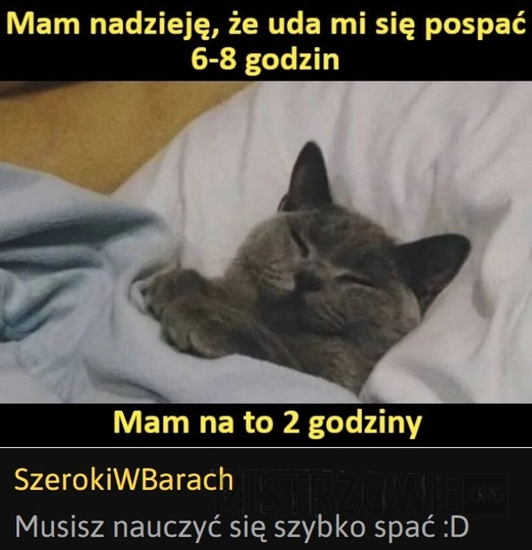 
    Spanie