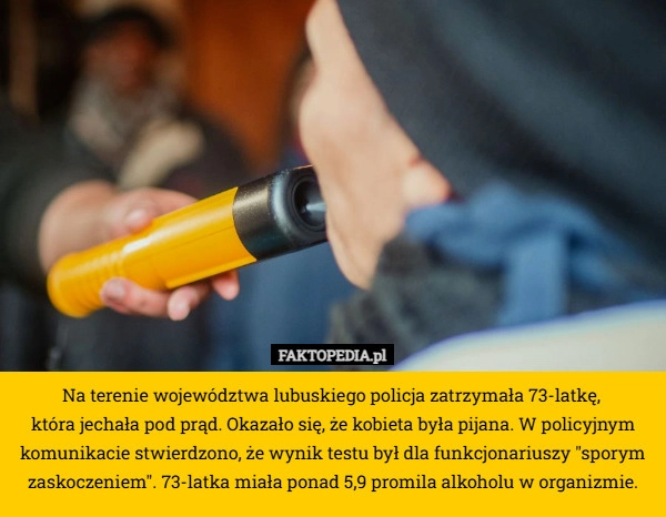 
    Na terenie województwa lubuskiego policja zatrzymała 73-latkę, 
która jechała