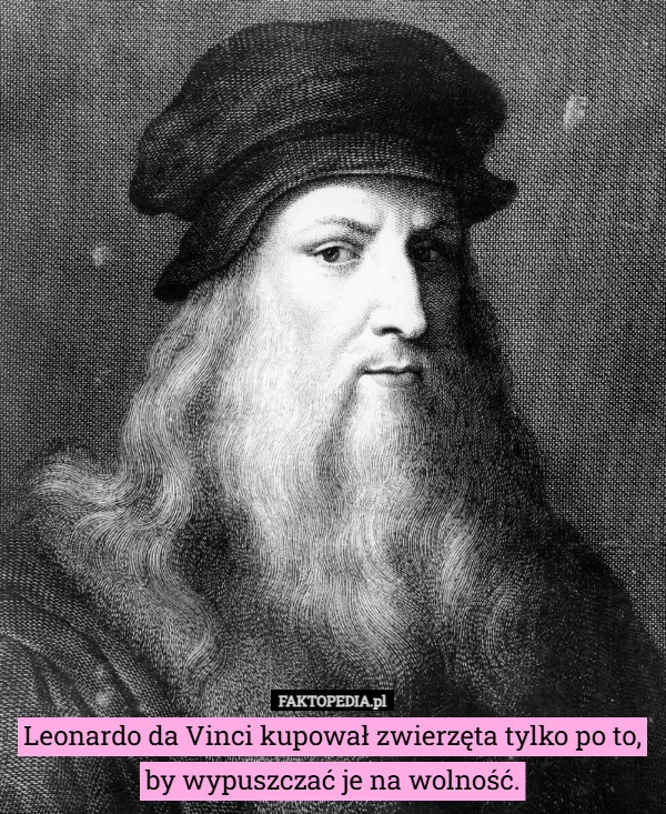 
    Leonardo da Vinci kupował zwierzęta tylko po to, by wypuszczać je na wolność.