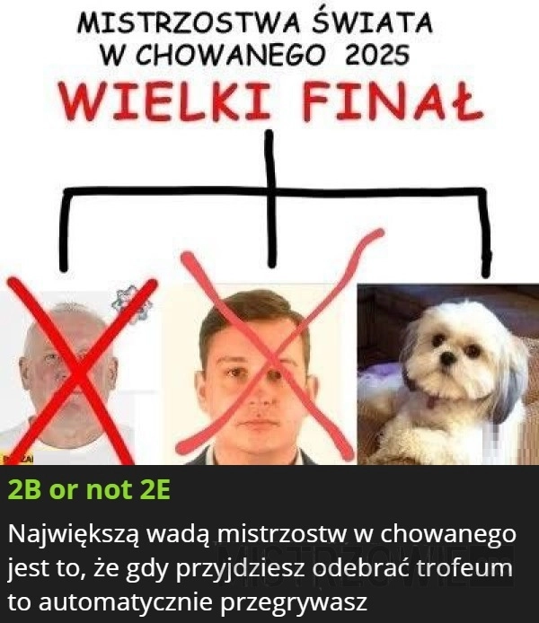 
    Mistrzostwa świata