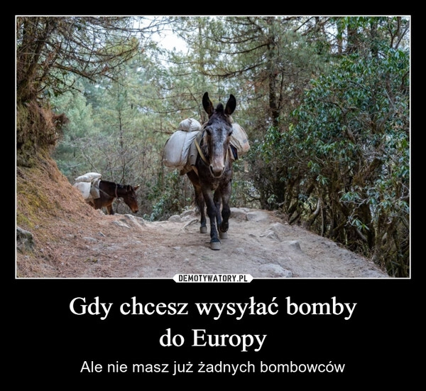 
    Gdy chcesz wysyłać bomby
do Europy