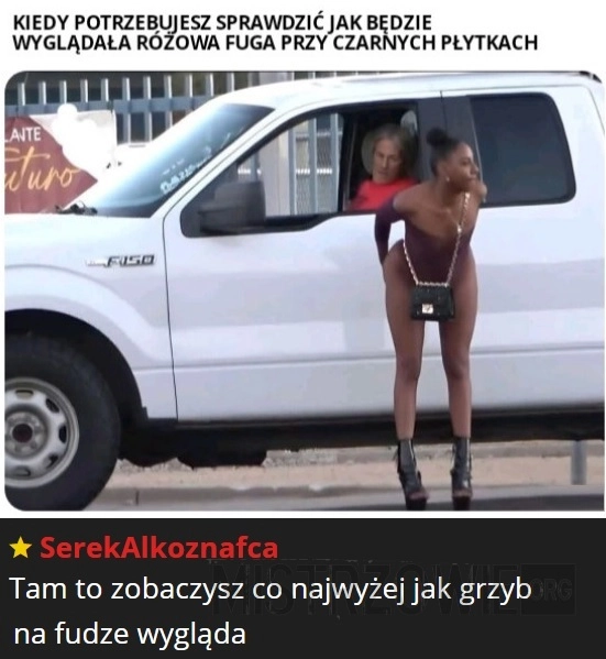 
    Fuga