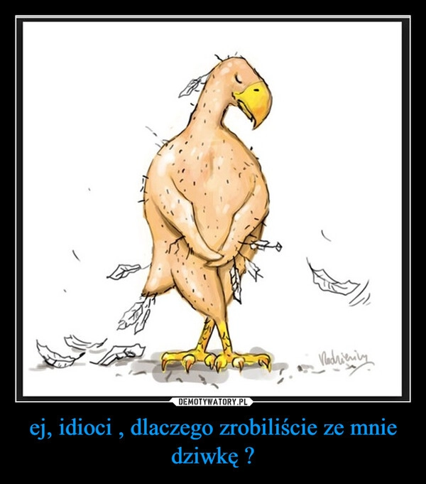 
    ej, idioci , dlaczego zrobiliście ze mnie dziwkę ?