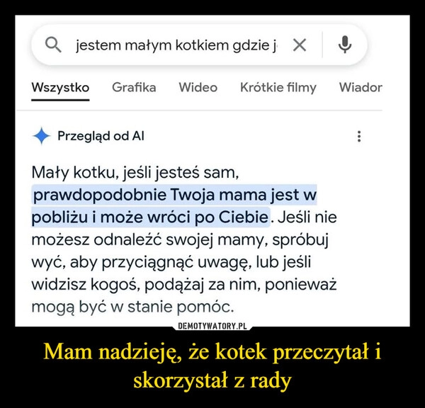 
    Mam nadzieję, że kotek przeczytał i skorzystał z rady