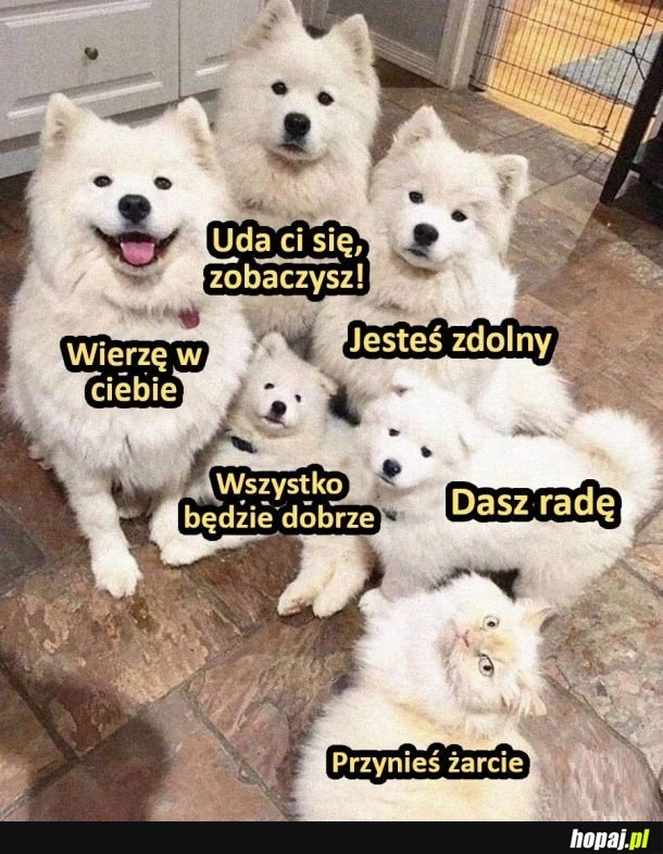
    Pocieszyciele