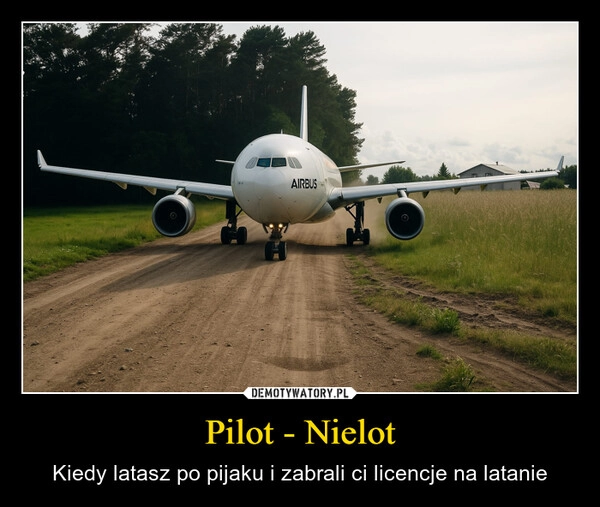
    Pilot - Nielot